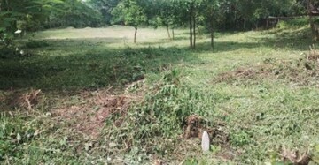 Plot Area in  Plot at Ucassaim – for Sale