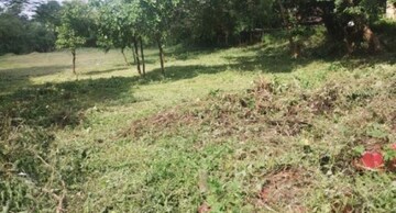 Plot Area in  Plot at Ucassaim – for Sale