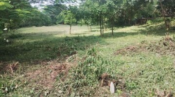 Plot Area in  Plot at Ucassaim – for Sale