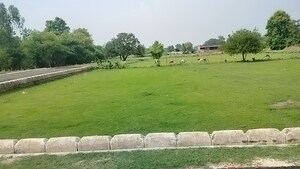 Plot Area in  Plot at Kanpur Road – for Sale