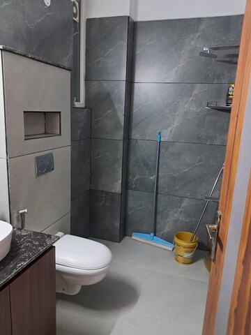 Bathroom in 3 BHK Apartment at Dhakoli – for Rent