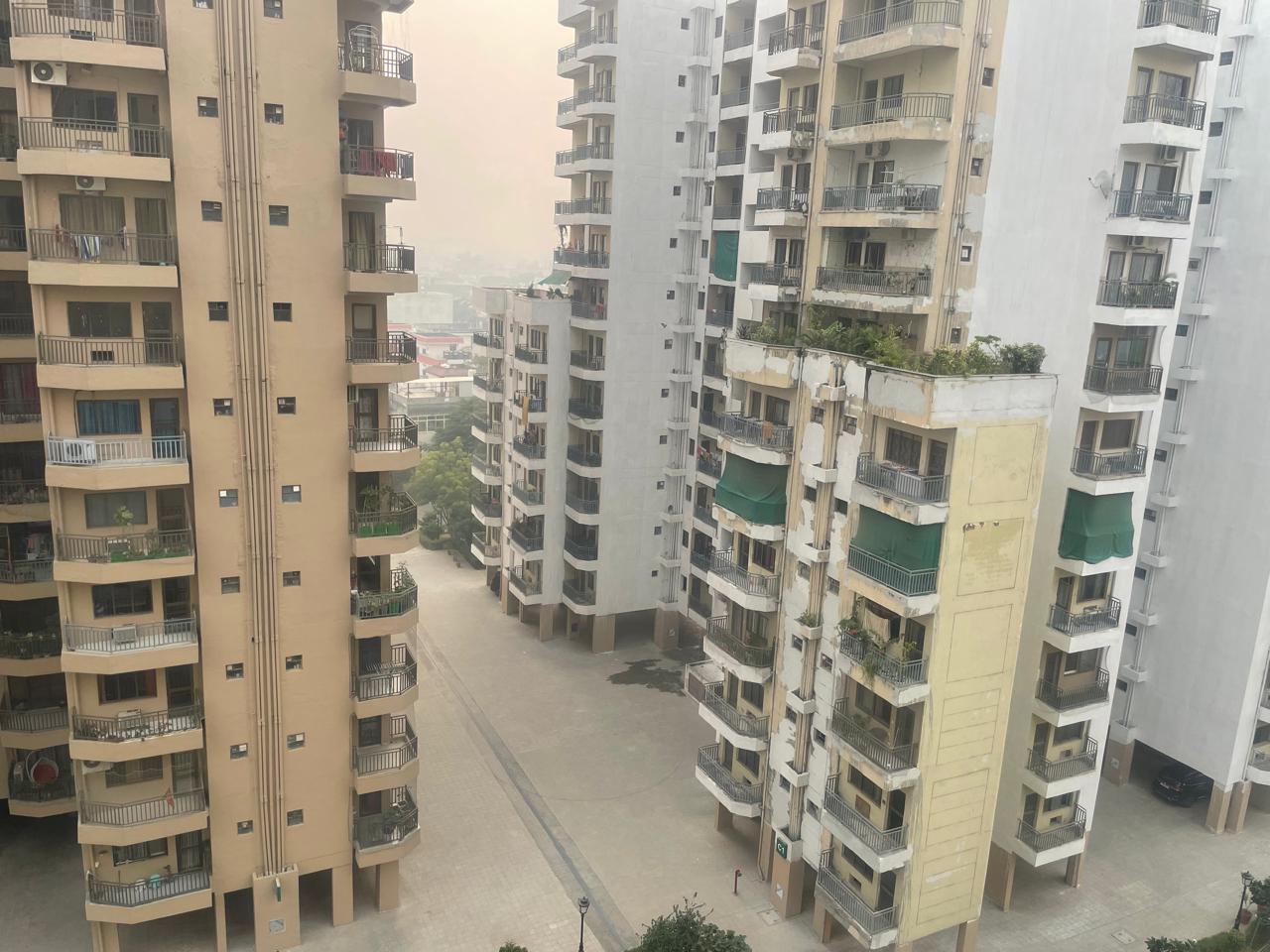 3 BHK + Servant Room Apartment For Rent in Ardee City Palm Grove Heights