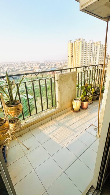 Balcony in 2 BHK Apartment at Apex Athena, Sector 75 – for Rent