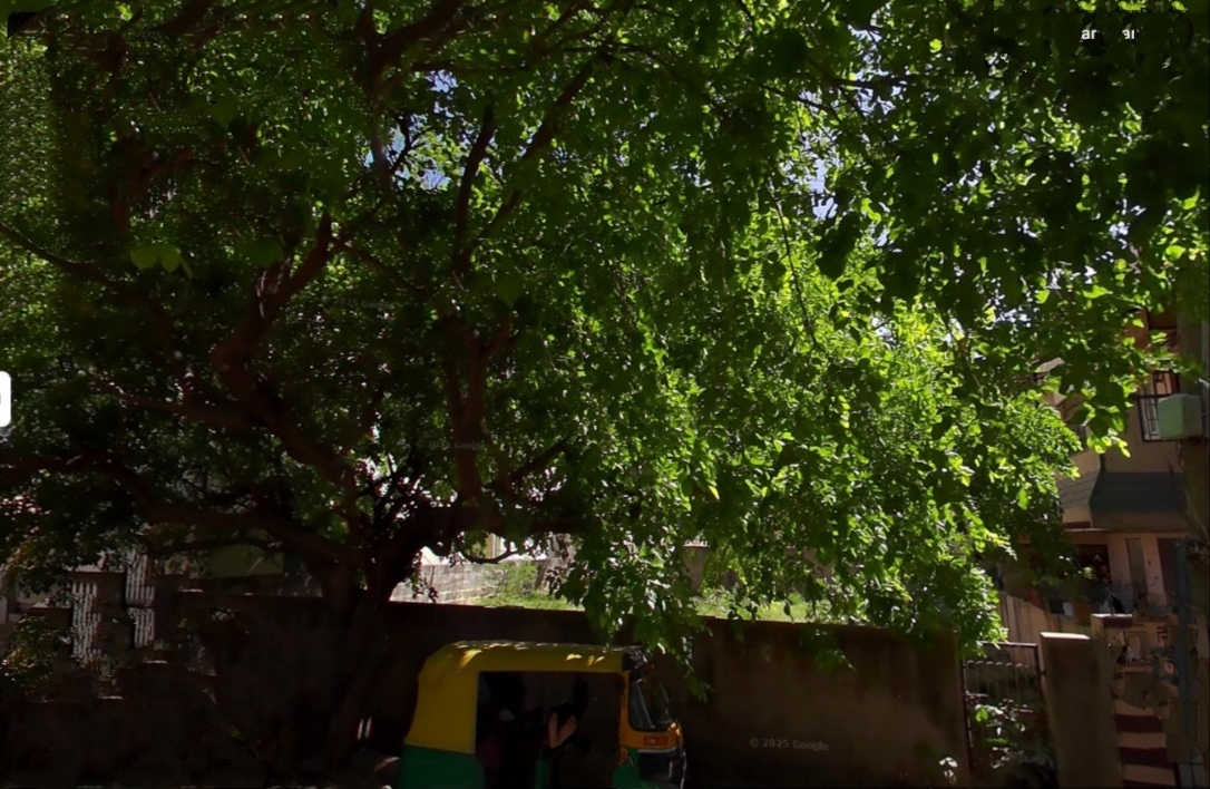 Plot For Sale in Nishchay