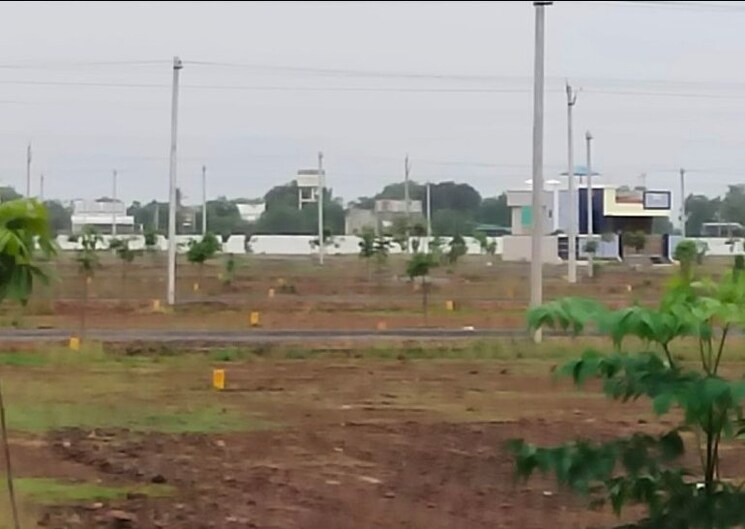 Exterior View, santhapet  128 Sq.Yd. Plot In Santhapet Ongole 8940767