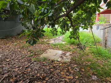 Plot Area in  Plot at Ombr Layout – for Sale