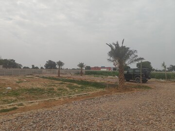 Plot Area in  Plot at Jattari – for Sale