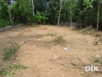  Plot For Sale in Ambalamukku