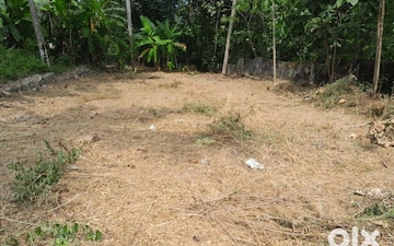 Plot For Sale in Ambalamukku
