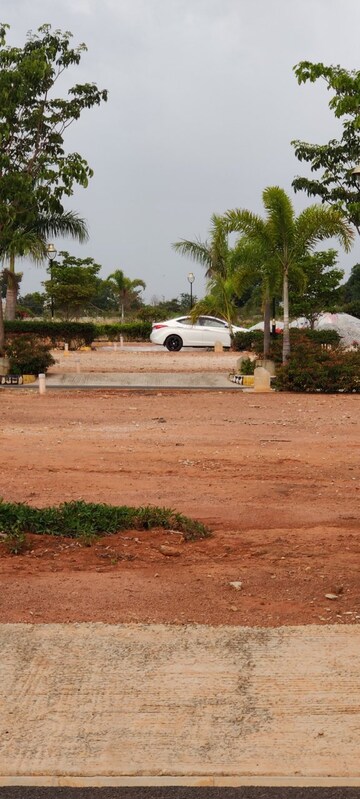 Plot Area in  Plot at Sri Aditya Palm Grove, Devanahalli – for Sale