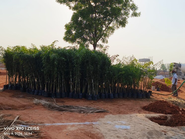 Garden, navabhoomi-wonder-greens  167 Sq.Yd. Plot In Kongar Khurd Hyderabad 8942032