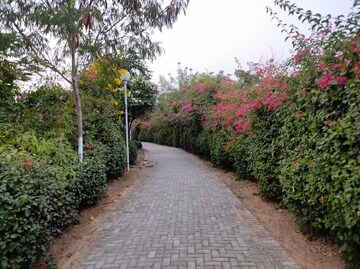  Pg – Nearby View at Vatika - for Rent