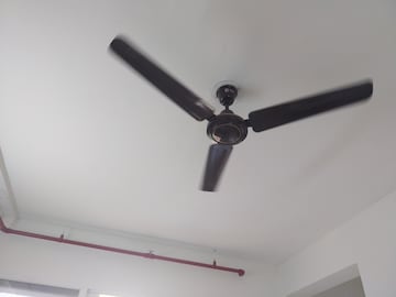 Furnished Amenities in 3 BHK Apartment at Signature Global Golf Greens, Sector 79 – for Rent
