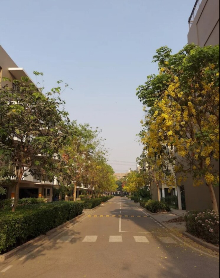 Exterior View, vatika-xpressions 3 Bedroom 1350 Sq.Ft. Builder Floor In Sector 88b Gurgaon 8943006