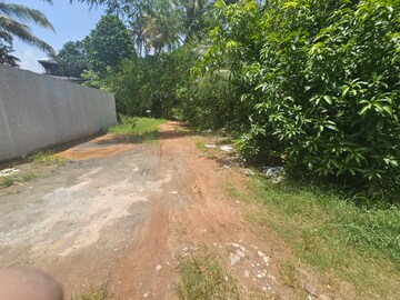 Plot Area in  Plot at Kadavanthara – for Sale
