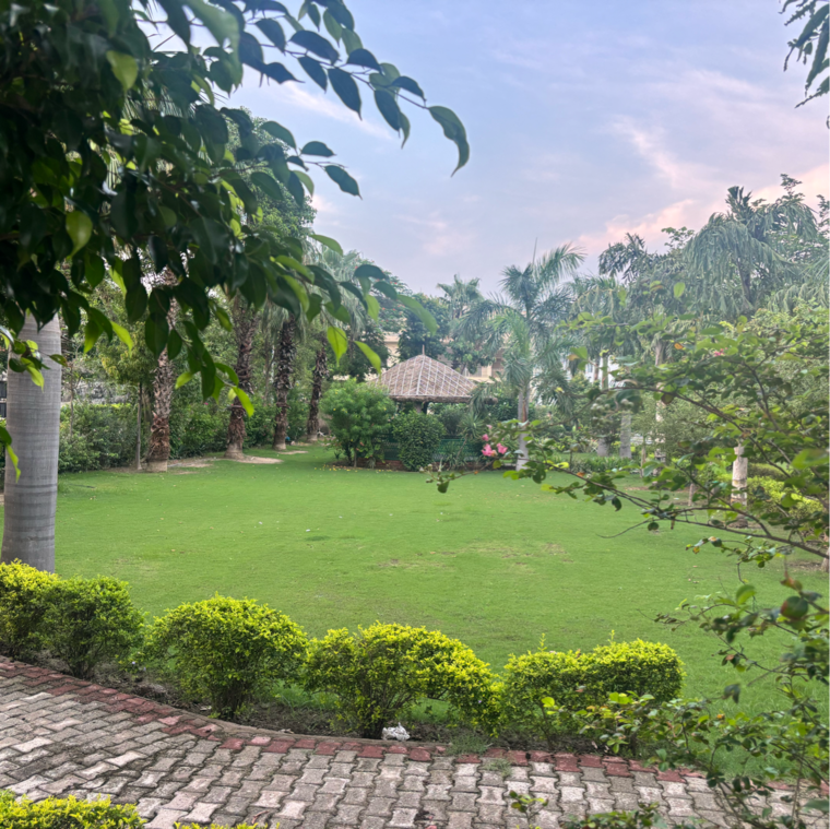 Exterior View, zestha-bhagirath-vihar-residency  250 Sq.Yd. Plot In Murshadpur Greater Noida 8943065