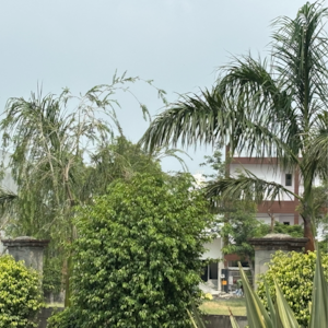  Plot – Exterior View View at Zestha Bhagirath Vihar Residency, Murshadpur - for Sale