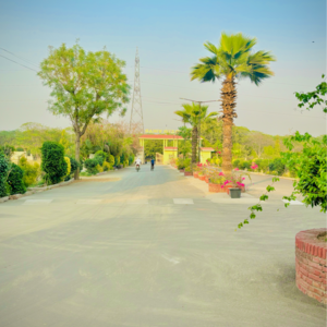  Plot – Exterior View View at Zestha Bhagirath Vihar Residency, Murshadpur - for Sale