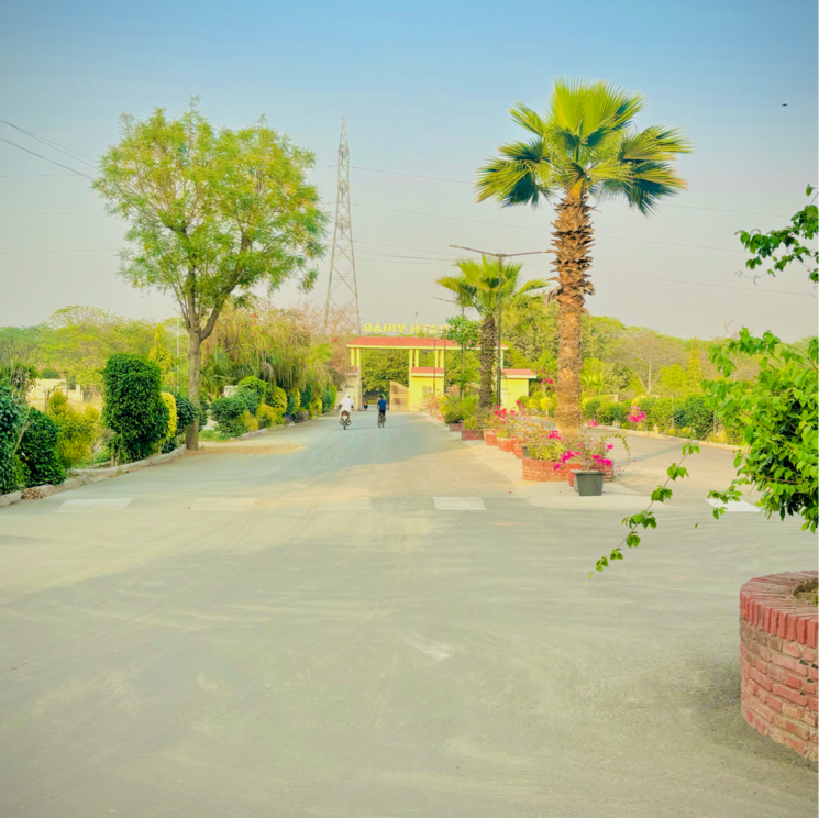 Exterior View, zestha-bhagirath-vihar-residency  250 Sq.Yd. Plot In Murshadpur Greater Noida 8943065