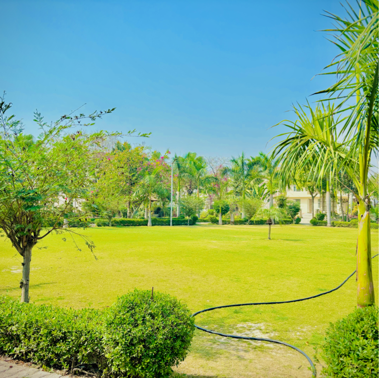 Other, zestha-bhagirath-vihar-residency  250 Sq.Yd. Plot In Murshadpur Greater Noida 8943065