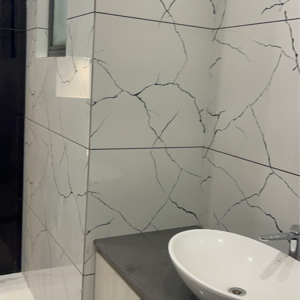 Bathroom in 4 BHK Builder Floor at Sector 21c – for Sale