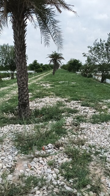 Plot Area in  Plot at Agra Expressway – for Sale