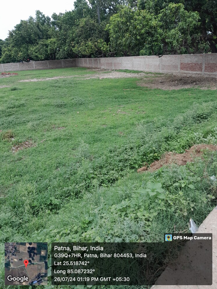 Garden, anisabad  1361 Sq.Ft. Plot In Anisabad Patna 8943313