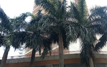 1 BHK Apartment For Rent in Saffron Chs, Borivali West