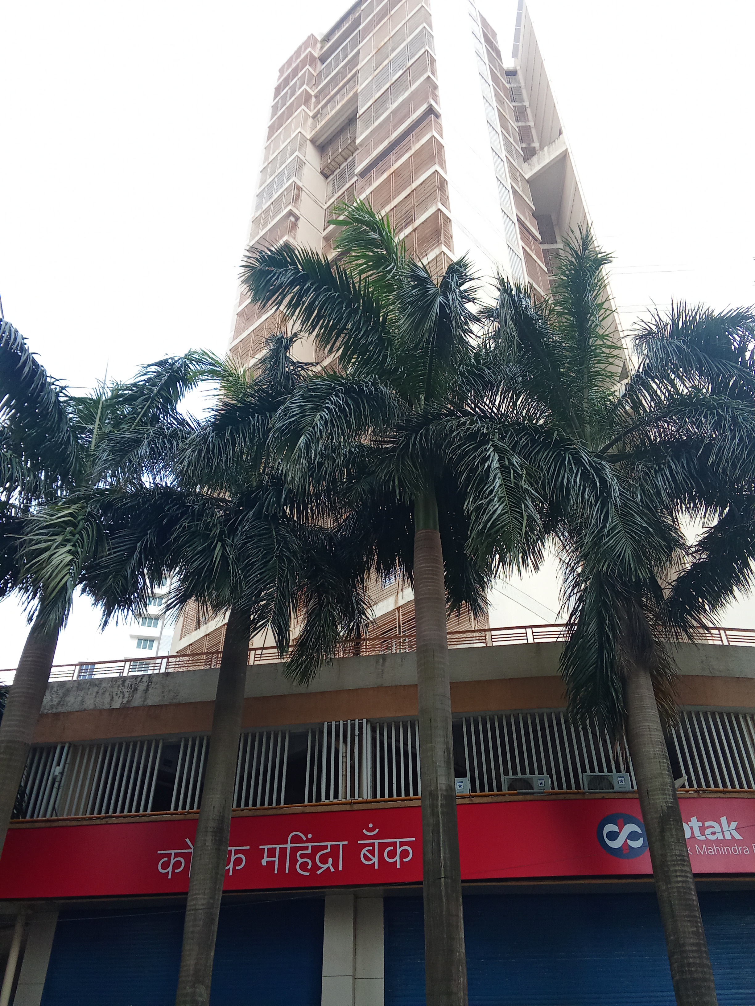 1 BHK Apartment For Rent in Saffron Chs