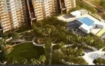 4 BHK Apartment For Sale in Gulshan Dynasty, Sector 144