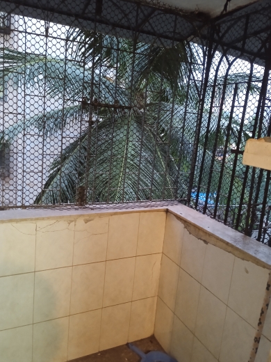 1 RkApartment For Rent in Ramesh Nagar Amboli