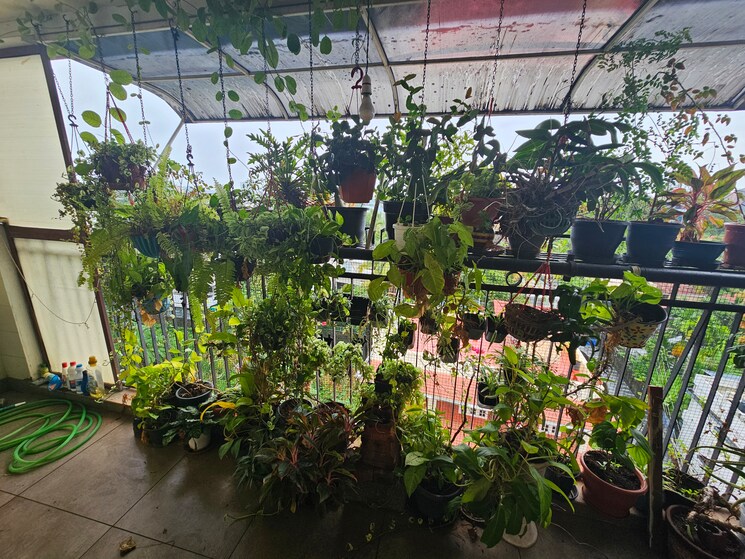 Exterior View, kaloor 3 Bedroom 1580 Sq.Ft. Apartment In Kaloor Kochi 8943960