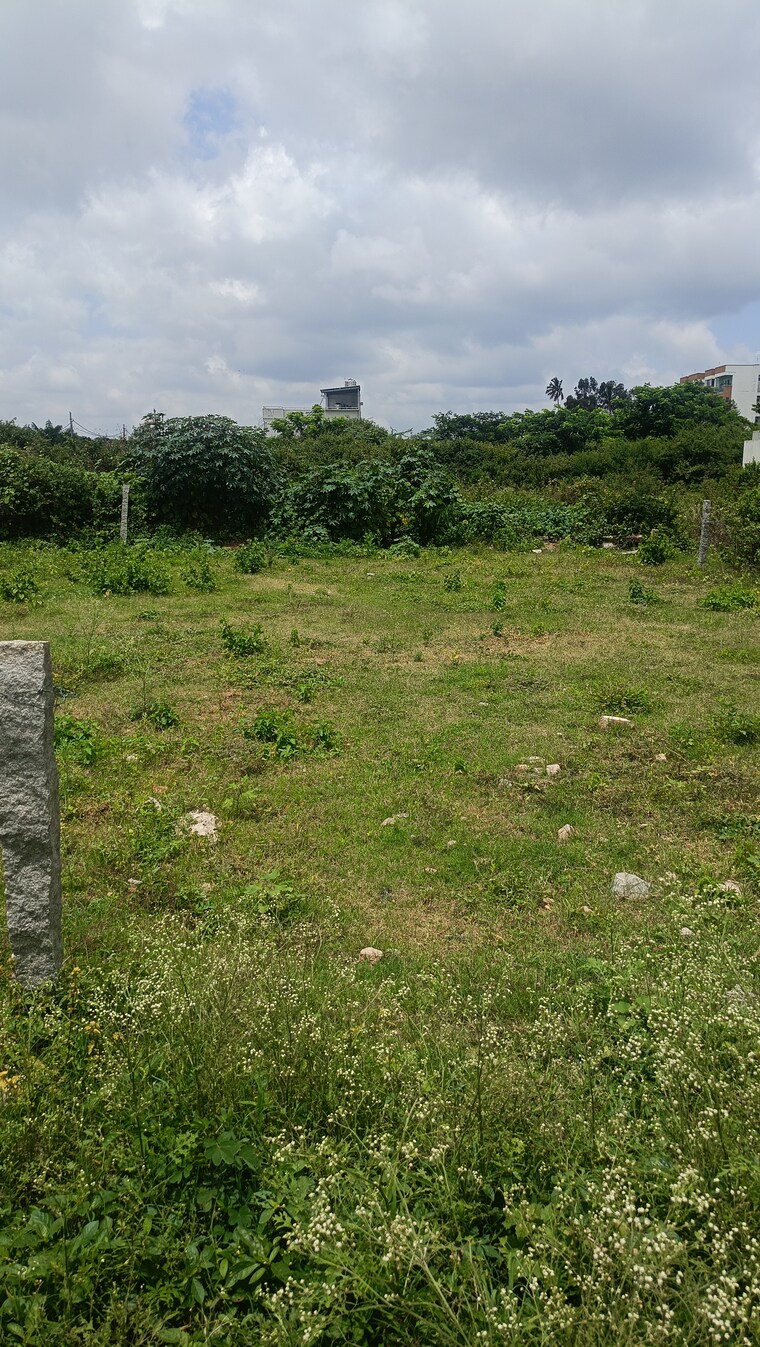 undefined, doddakammanahalli  3250 Sq.Ft. Plot In Doddakammanahalli Bangalore 8943978