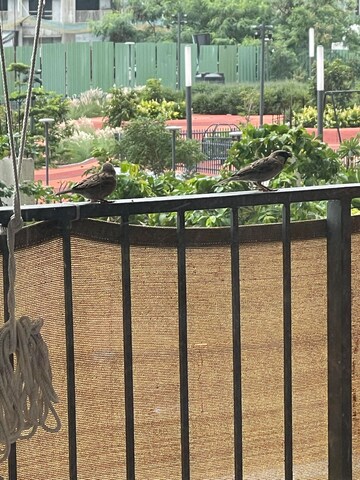 Balcony in 2 BHK Apartment at Godrej Boulevard, Manjari – for Rent