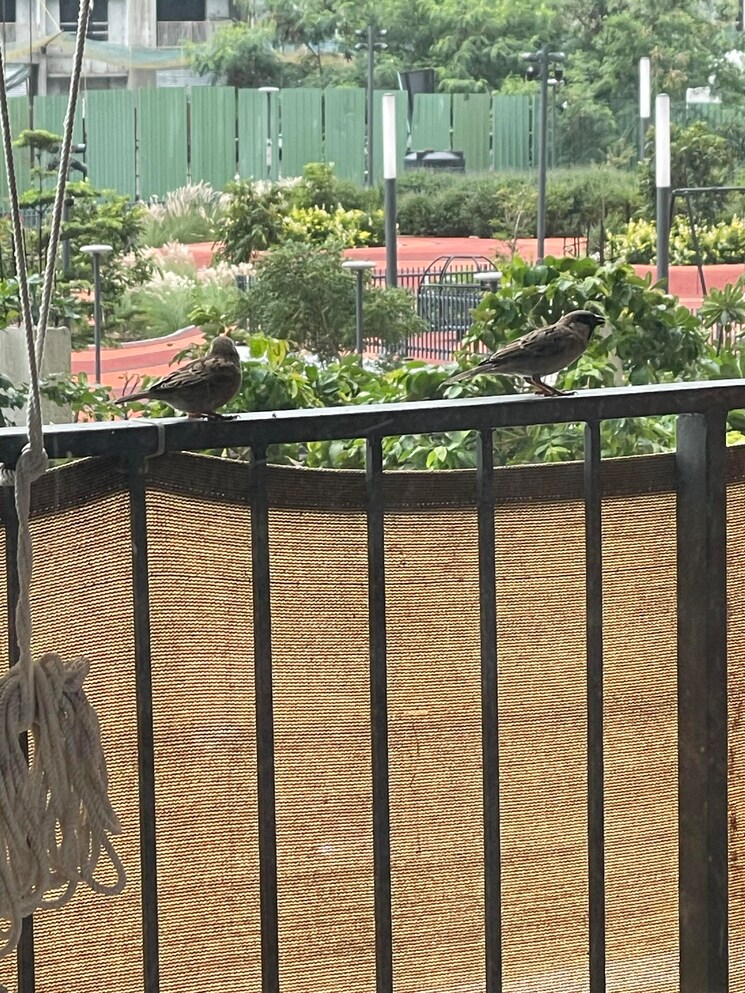 Balcony, godrej-boulevard 2 Bedroom 1010 Sq.Ft. Apartment In Manjari Pune 8944341