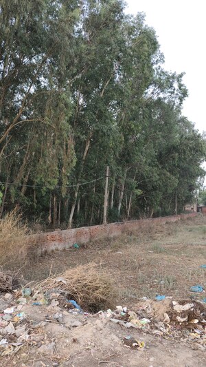 Plot Area in  Plot at Dev City Dadri, Chhapraula – for Sale