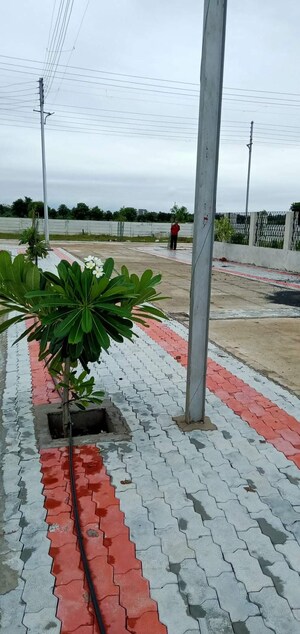  Land – Exterior View View at Wagdara - for Sale