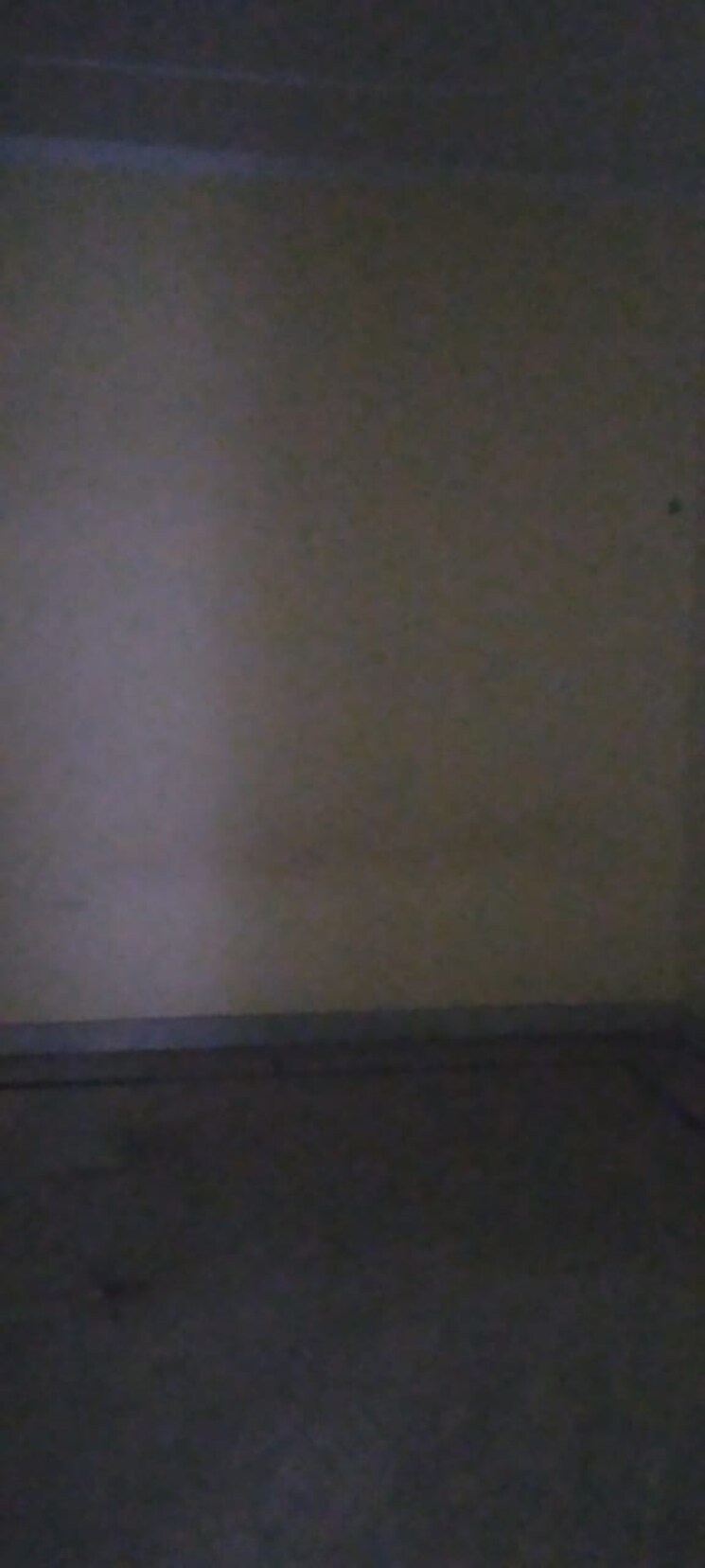 Room, kishangarh 1 Bedroom 550 Sq.Ft. Builder Floor In Kishangarh Delhi 8944892