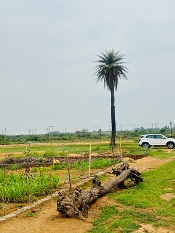 Plot Area in  Plot at Silani Chowk – for Sale