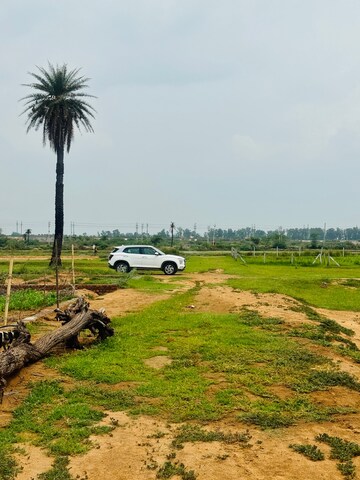 Plot Area in  Plot at Silani Chowk – for Sale