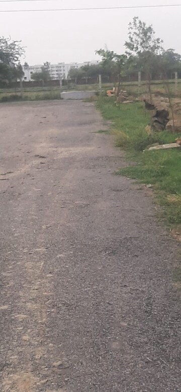 Plot Area in  Plot at Raebareli Road – for Sale