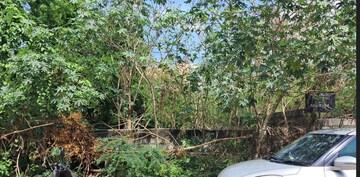  Plot For Sale in Anekal