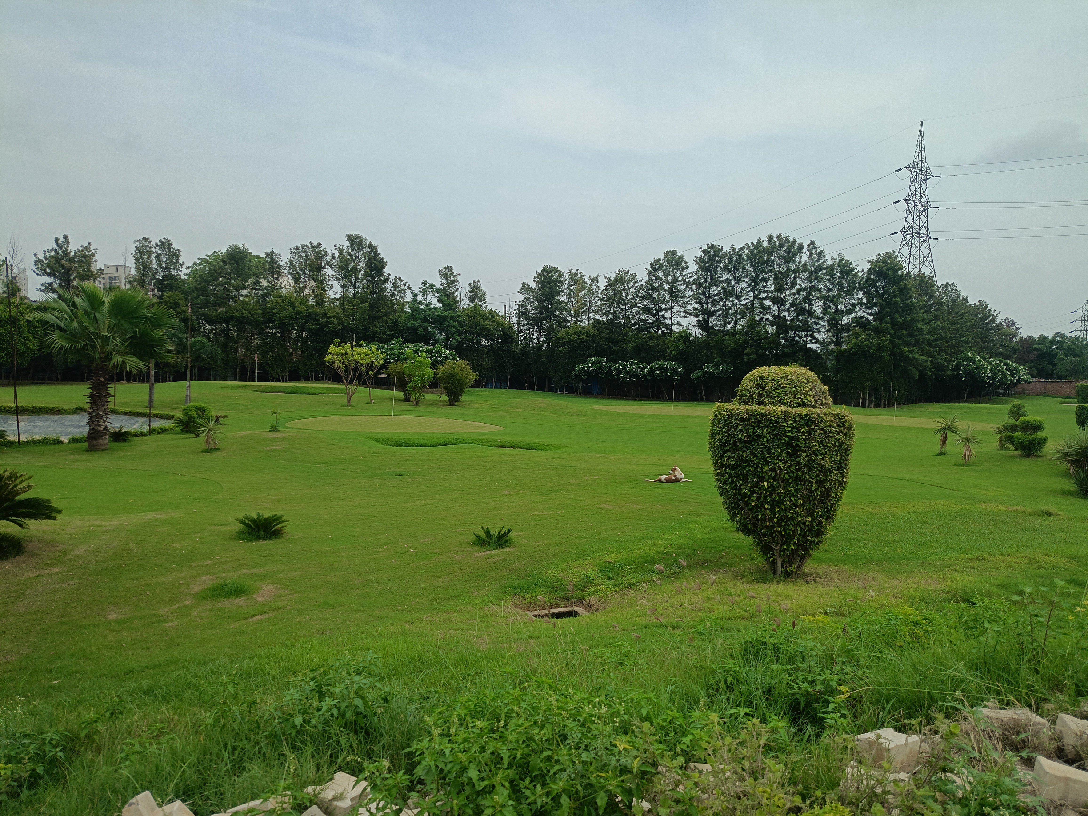 1 BHK Apartment For Rent in Lotus Homz