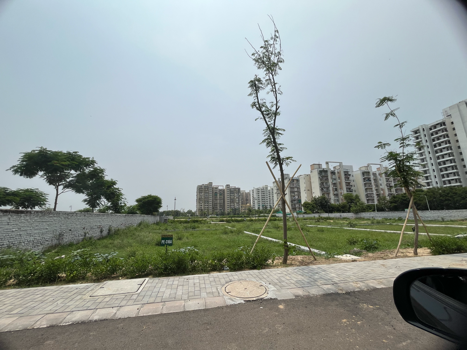 Plot For Sale in Sector 77