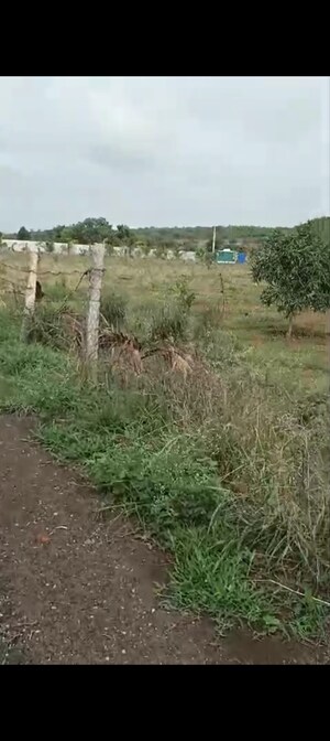  Plot For Sale in Shadnagar