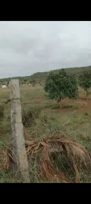 Plot Area in  Plot at Shadnagar – for Sale