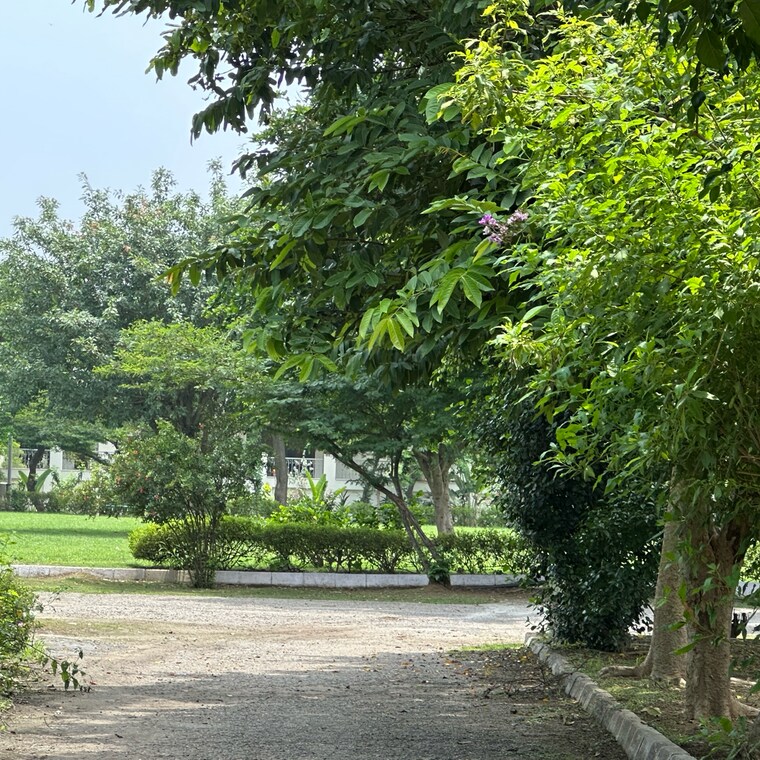 Garden, silver-oak-society  500 Sq.Mt. Plot In Judge Society Greater Noida 8945387