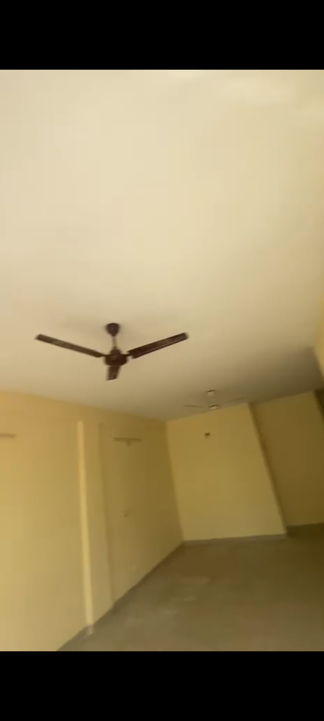 2.5 BHK + Study Room Builder Floor For Rent in Wave Prime Floors