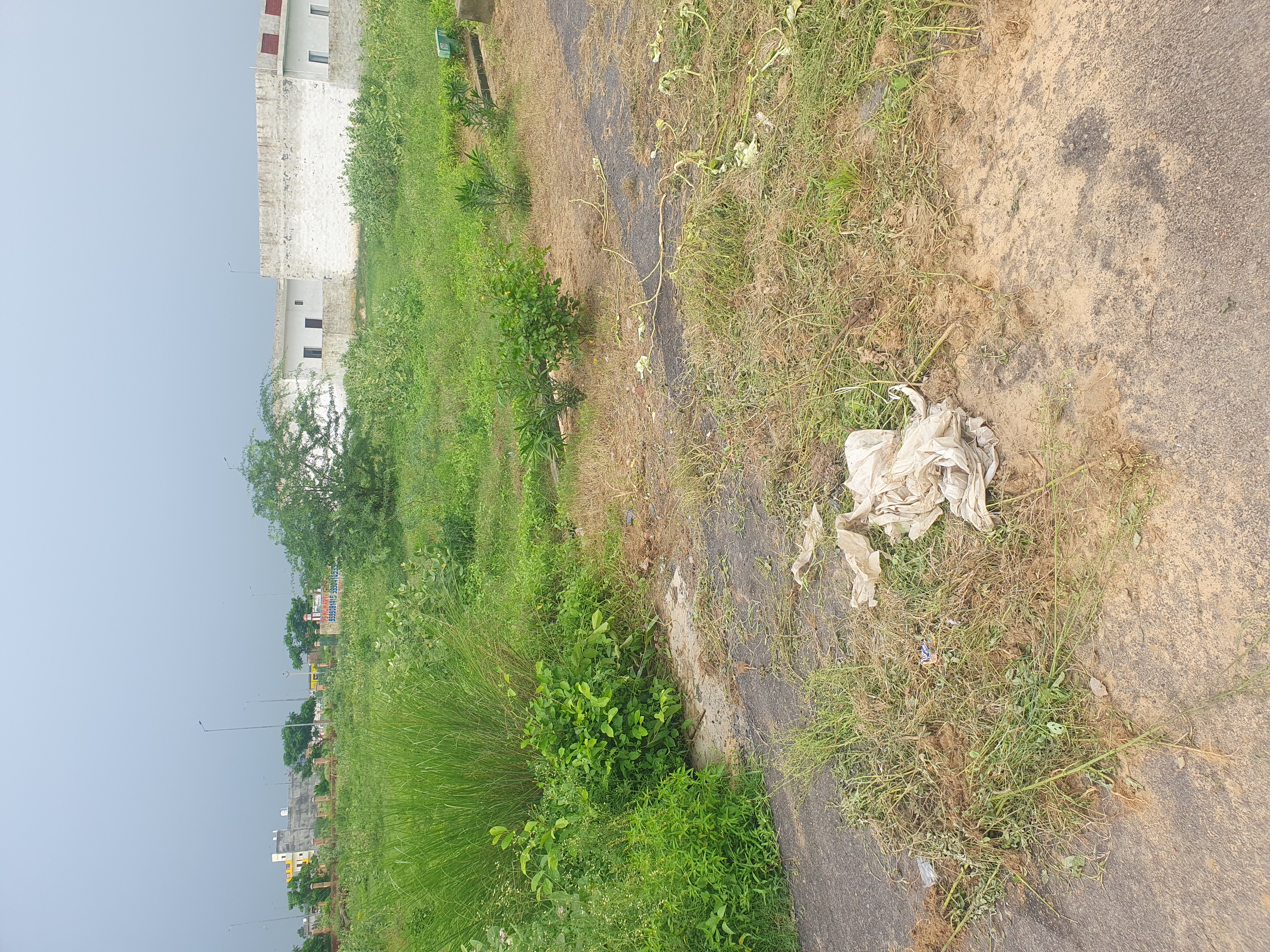 Plot For Sale in YEIDA Plots