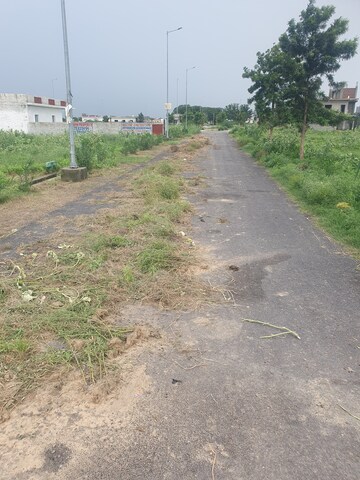 Plot Area in  Plot at YEIDA Plots, Dankaur – for Sale